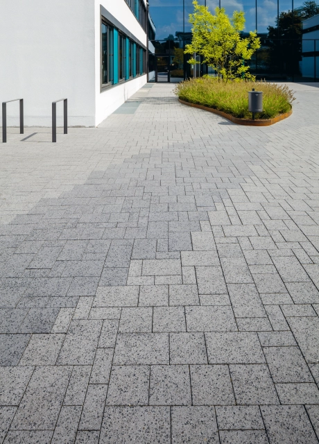 schoolyard planted modern