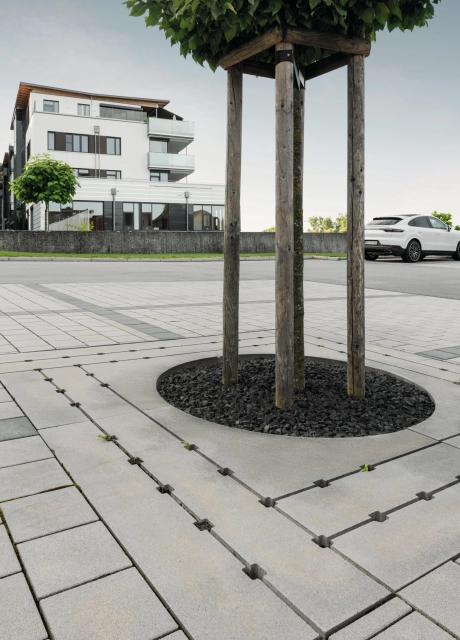 home nature modern commercial parking lot