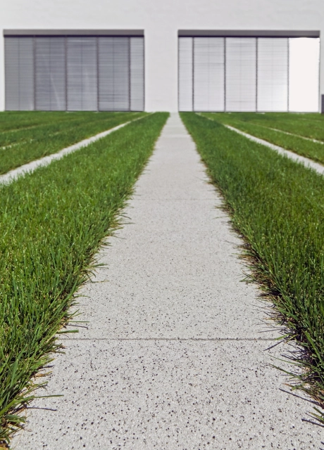 corporate headquarters modern planted