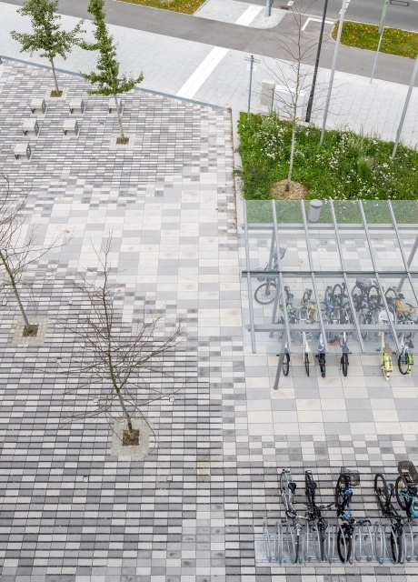 campus school planted modern