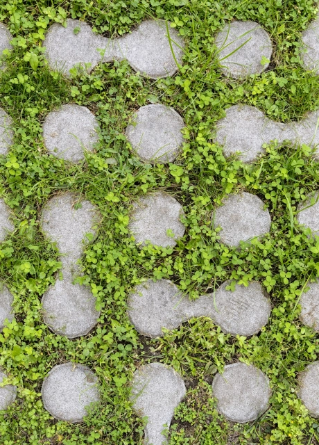 inner courtyard technology center planted