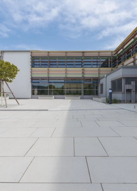 modern school square planted