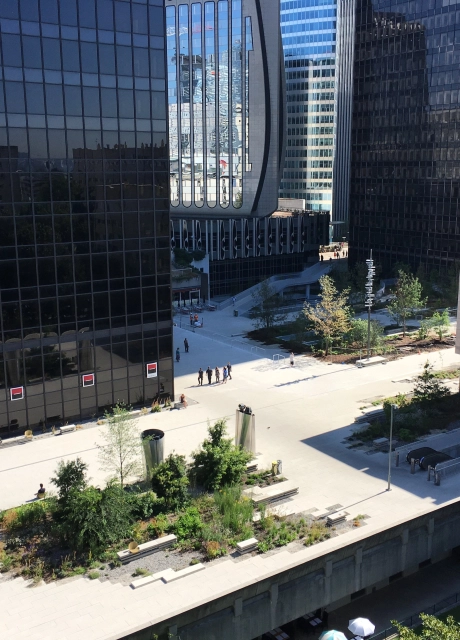 square city high-rise district planted