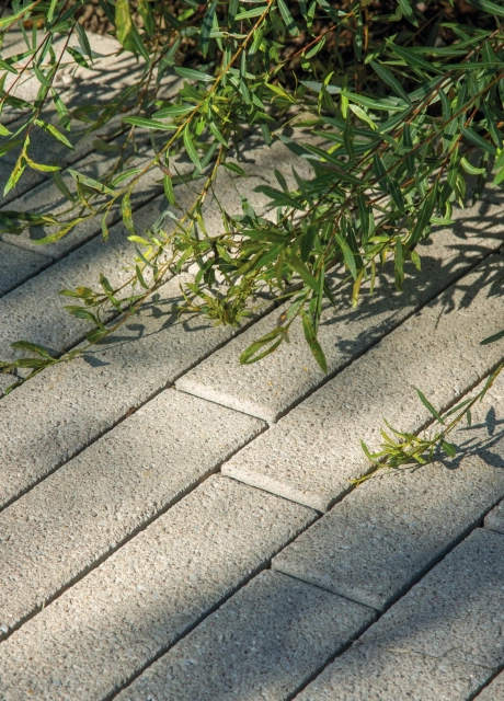 open landscape assisted living