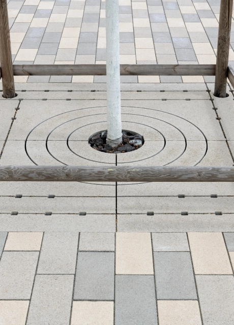 development area square planted modern buildings