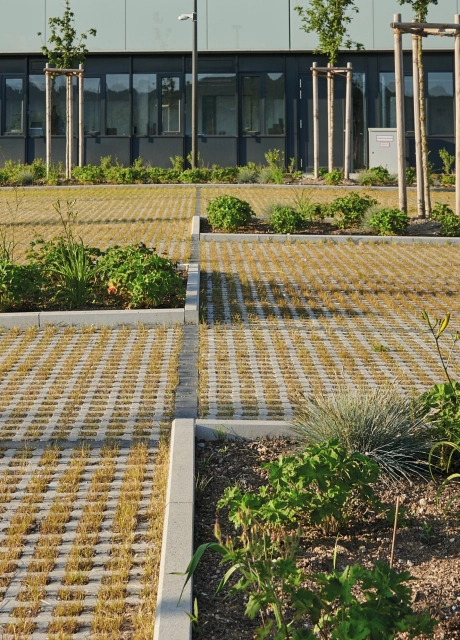 company place planted
