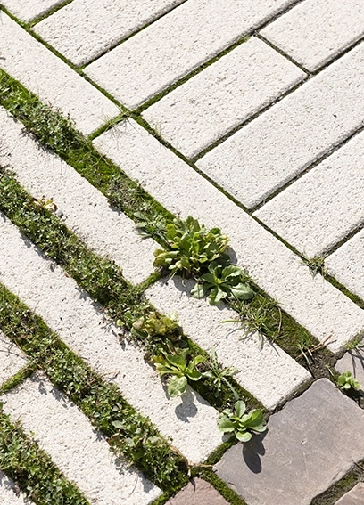 town hall square planted