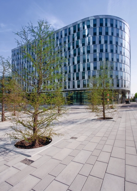 Four-part tree slab Viertel Zwei Vienna 