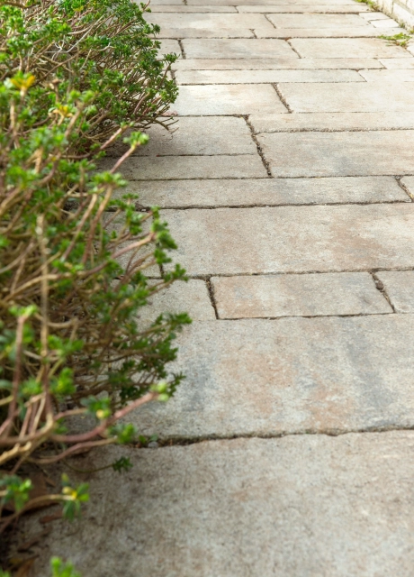 terrace planted cafe 