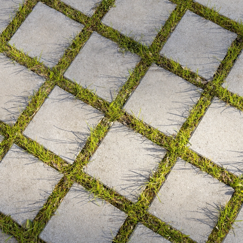 Bird's eye view of jointing stones with green joints.