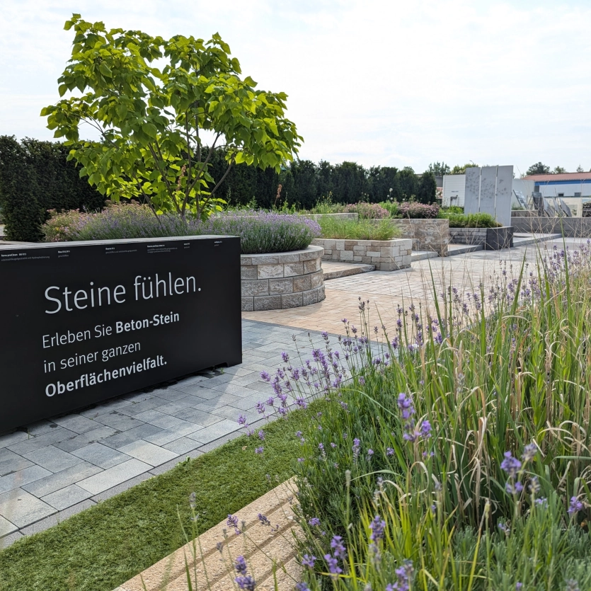 Green garden with paving stones and raised beds.