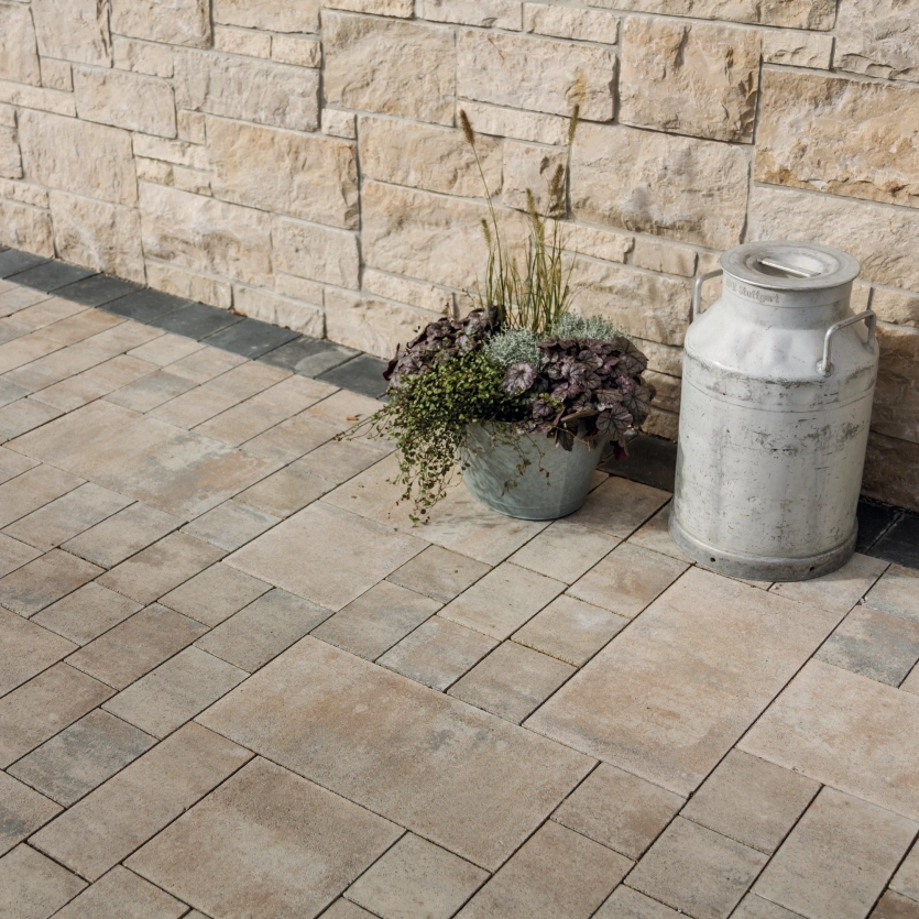A milk jug and a planted bucket stand in front of a wall and on a shell-limestone-colored paving.