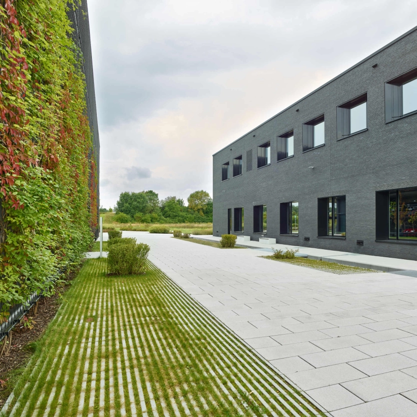 An inner-city square paved partly with vegetated grass liner joint blocks and partly with climate blocks in line with the sponge city principle. On the left is a house wall covered with climbing plants and on the right a modern building with an anthracite-colored façade.
