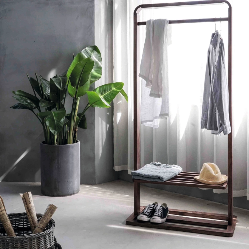 Planter with strelitzia indoors