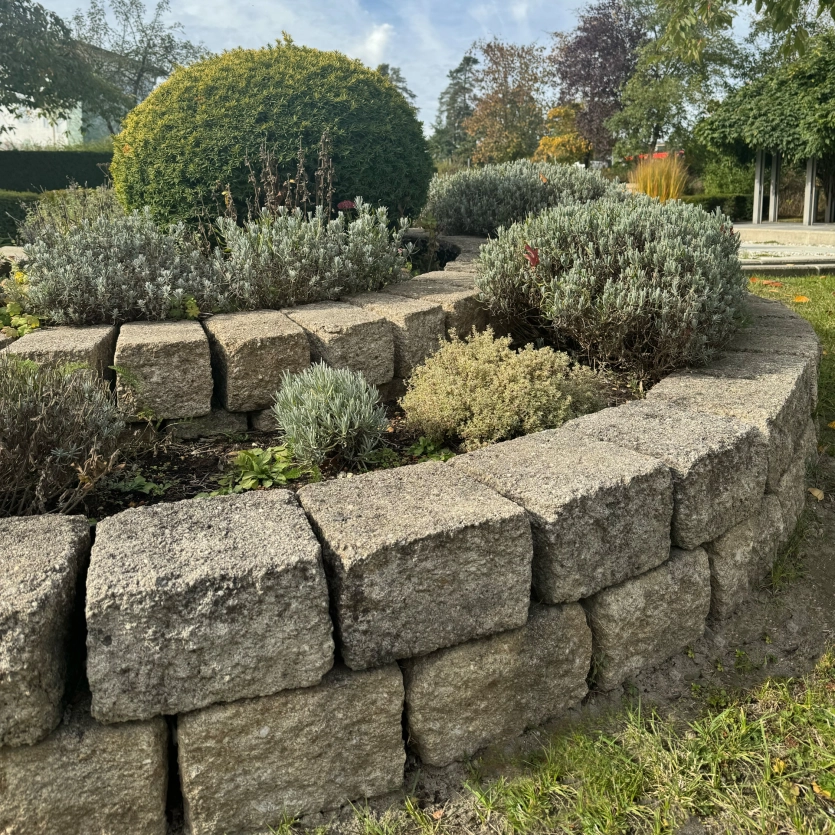 Herb snail Godelmann Klassik wall