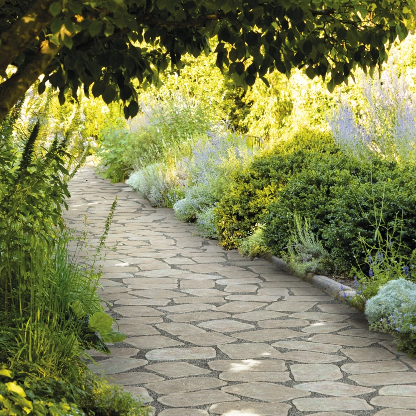 A paved path in a garden, surrounded by plants and trees, inviting you to relax and enjoy nature.