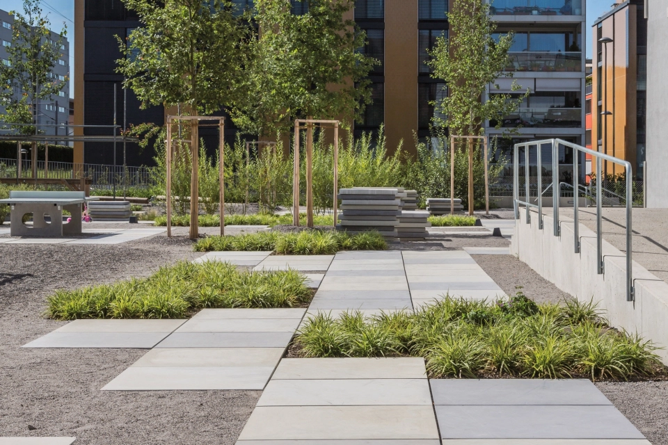 school grounds modern city center planted