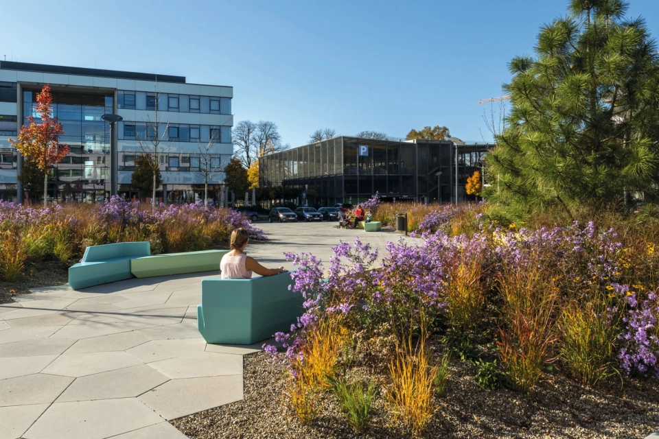 place planted modern