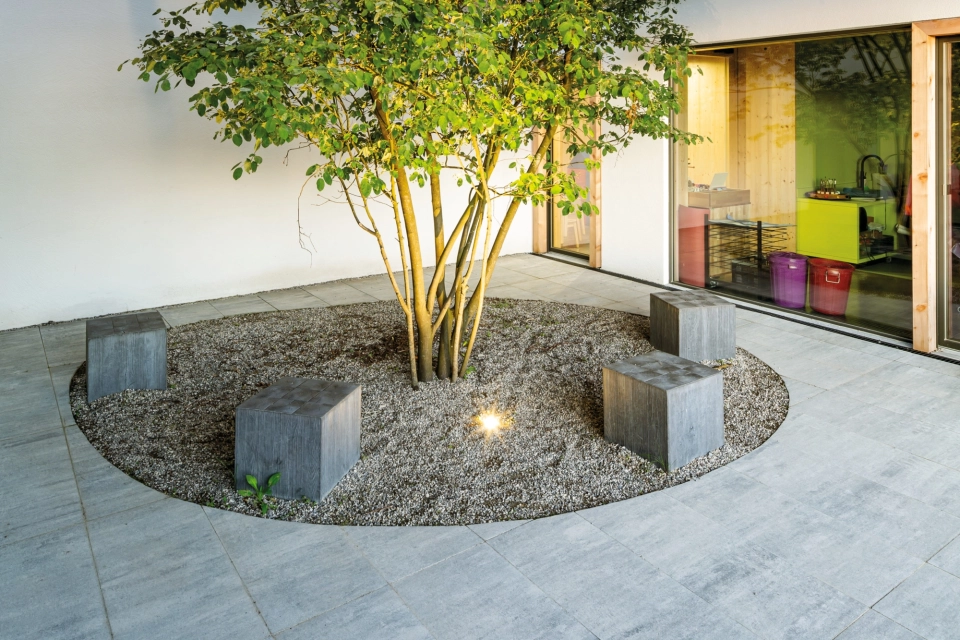 house planted parking lot