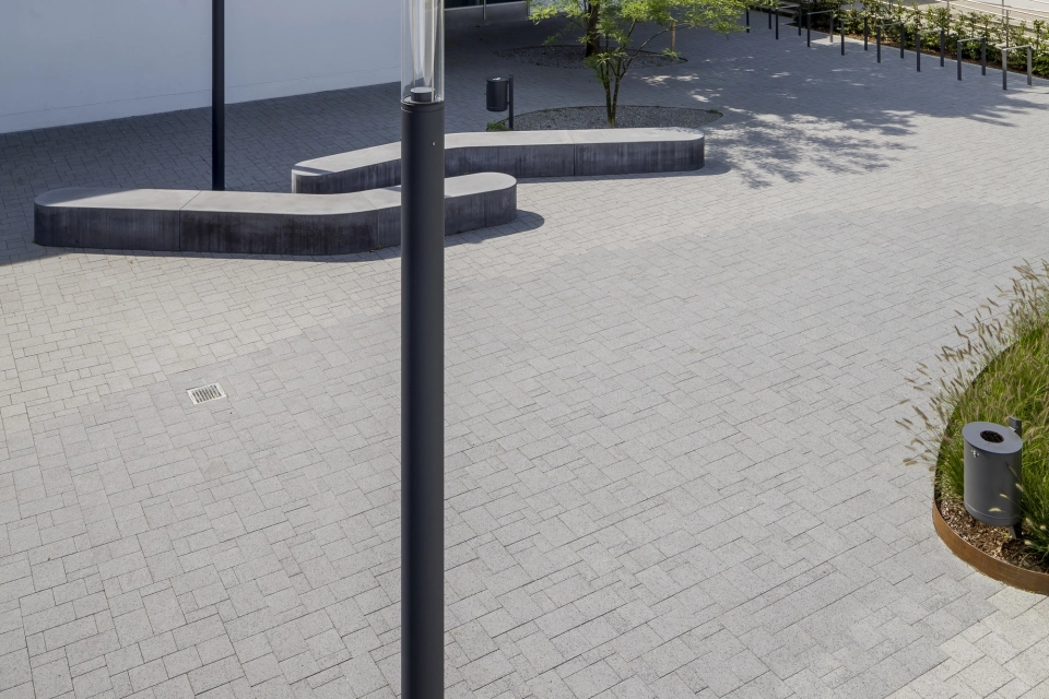 schoolyard planted modern