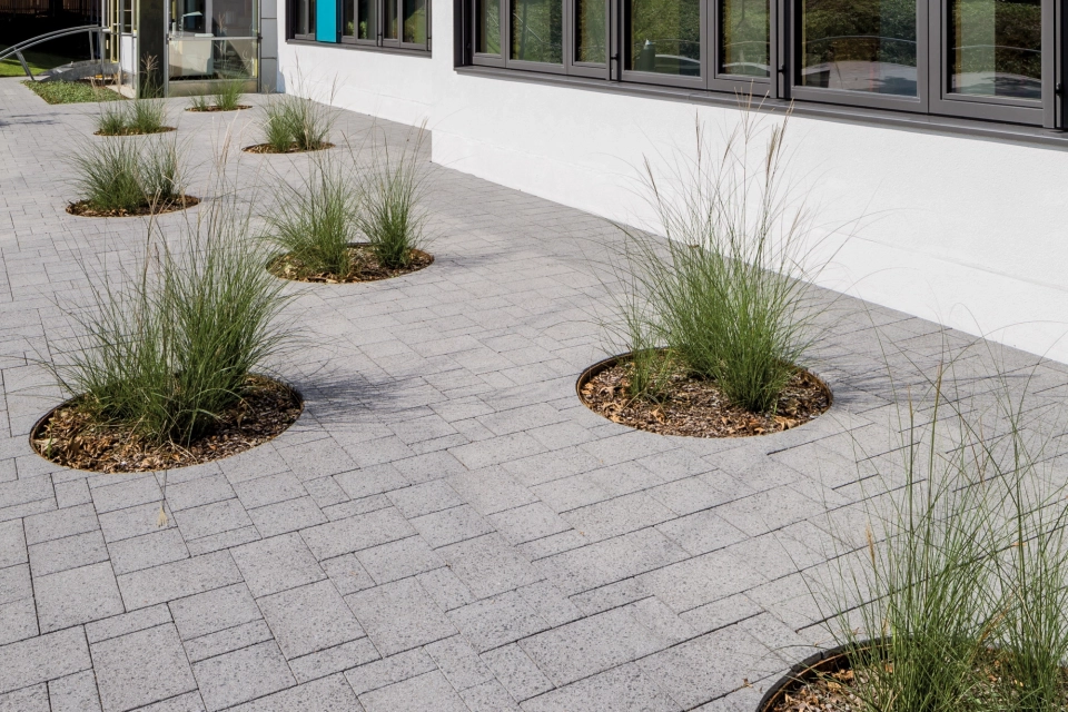 schoolyard planted modern