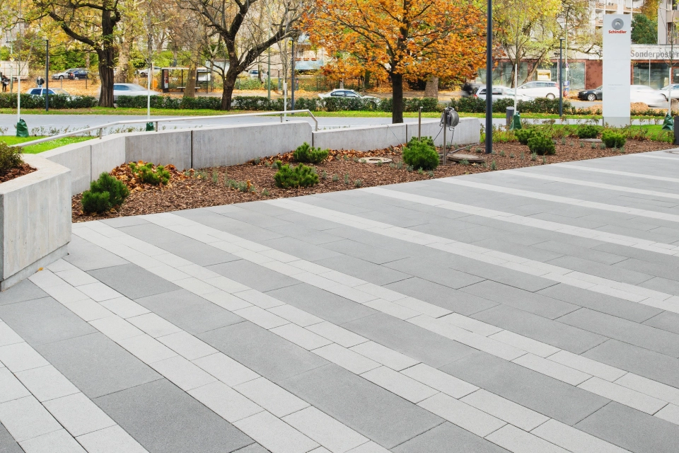 square planted