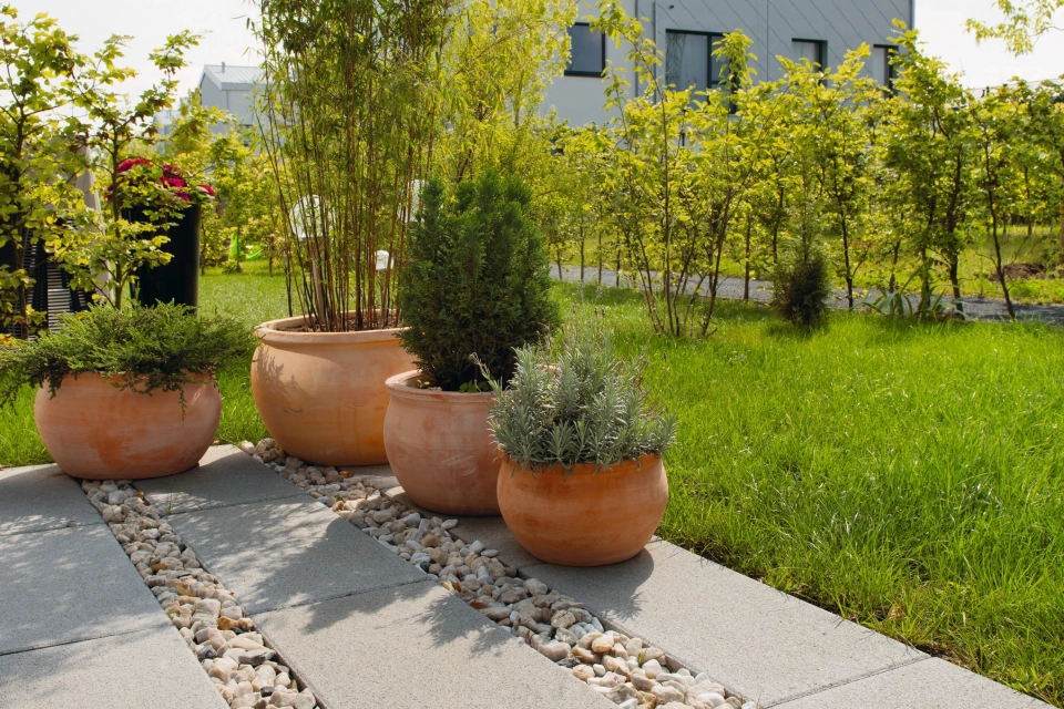 house entrance stylishly planted