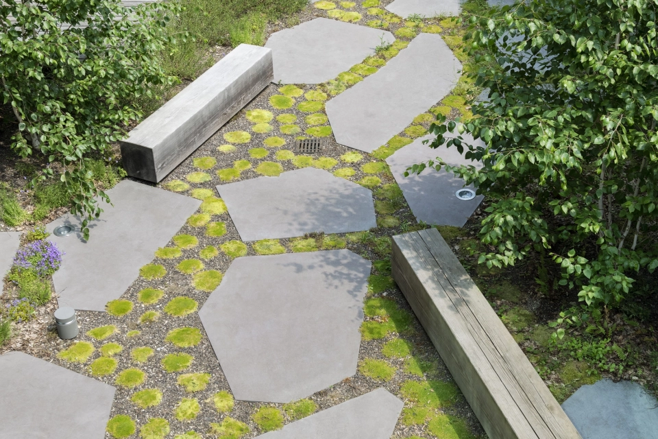 polygonale hellgraue Platten mit langen Sitzblöcken in Holzstruktur in begrüntem Innenhof