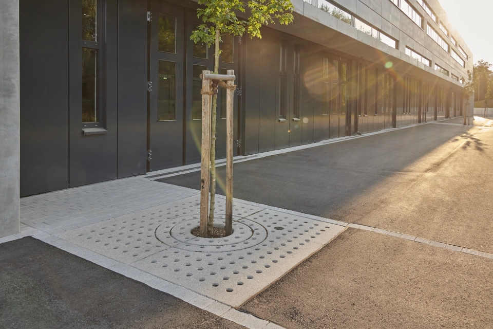 company space planted