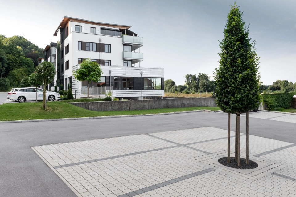 home nature modern commercial parking lot