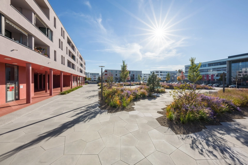 square planted modern