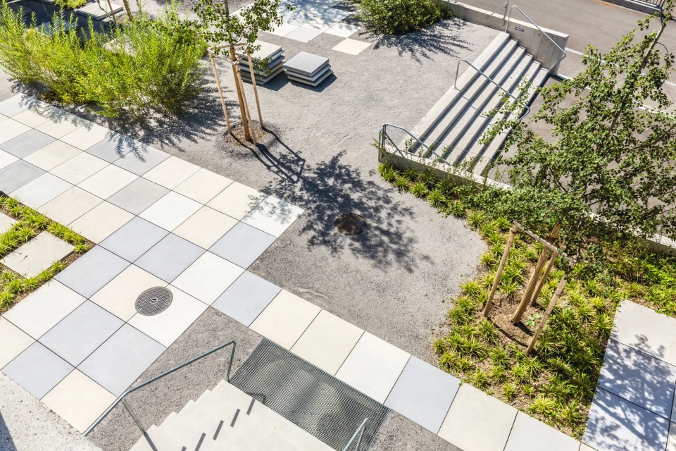 school grounds modern city center planted