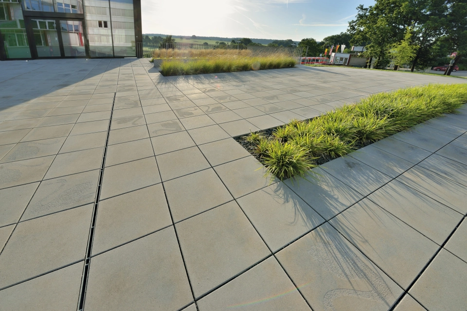 place company planted building modern