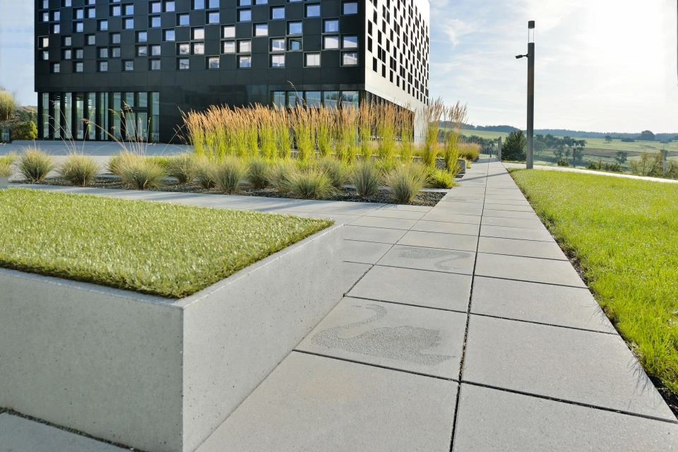 place company planted building modern