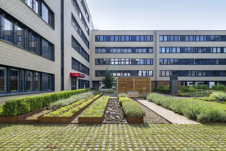 inner courtyard technology center planted