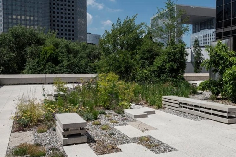 square city high-rise district planted