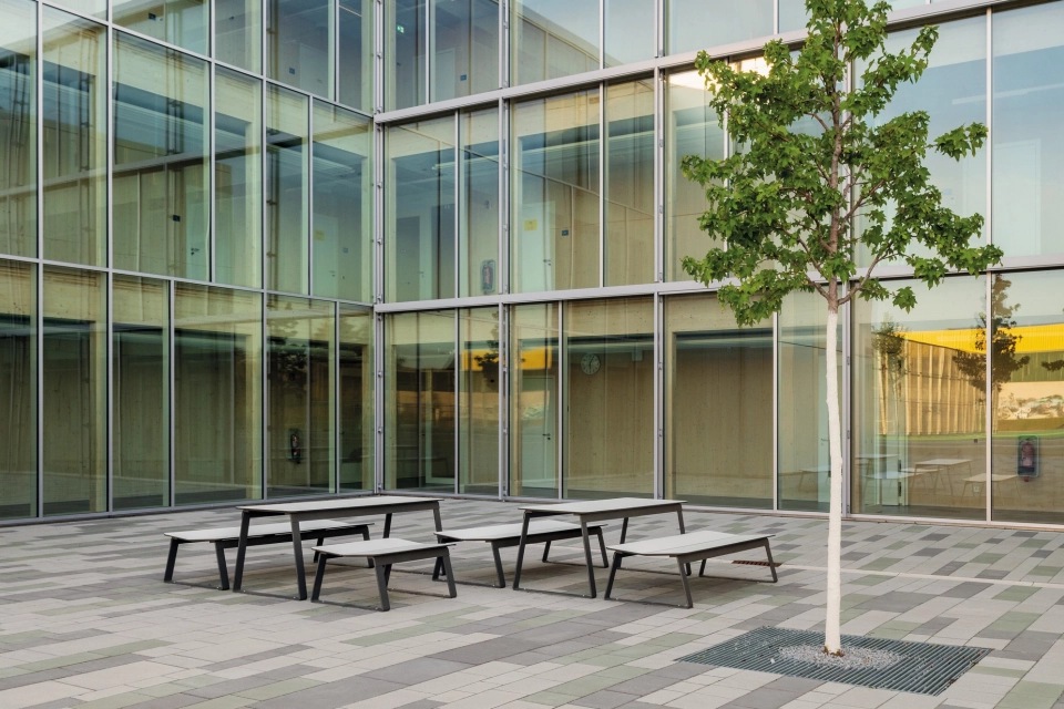 school campus modern planted