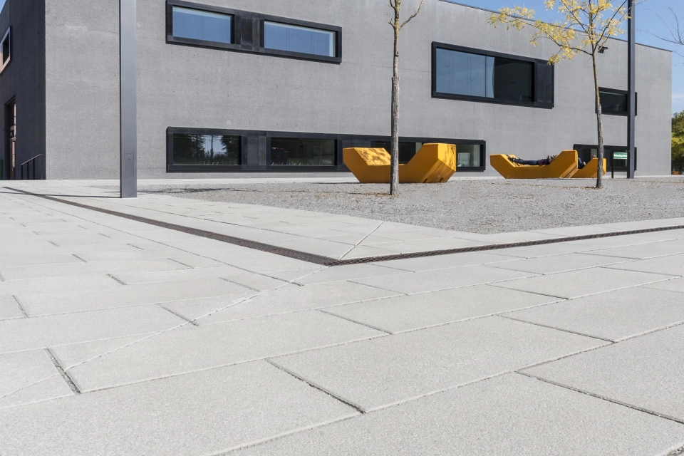 university campus square planted