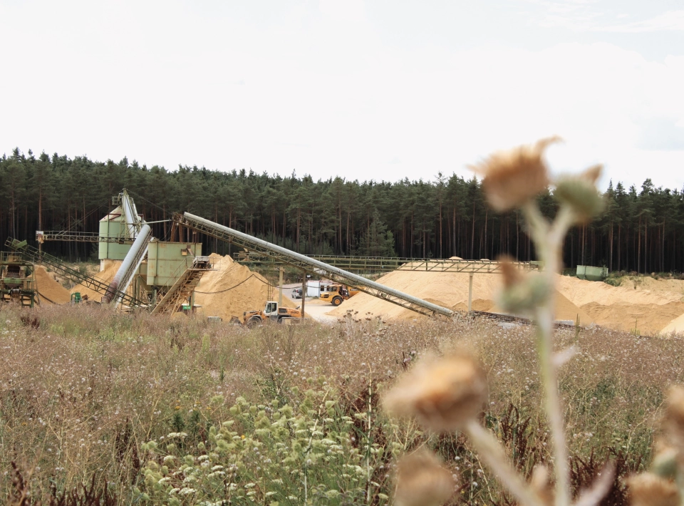 Blick auf die Sandaufbereiten - im Vordergrund eine unscharfe Silberdistel. Viele geschützte Pflanzen wachsen in unserer Sandgrube in den renaturierten Bereichen.